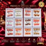 NG Nails Premium Special Series Press-On Nails (Unique Designs) – XY-0524